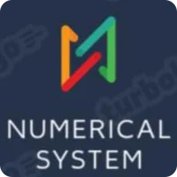Numerical System